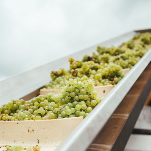 Biddenden Job Advert Picture