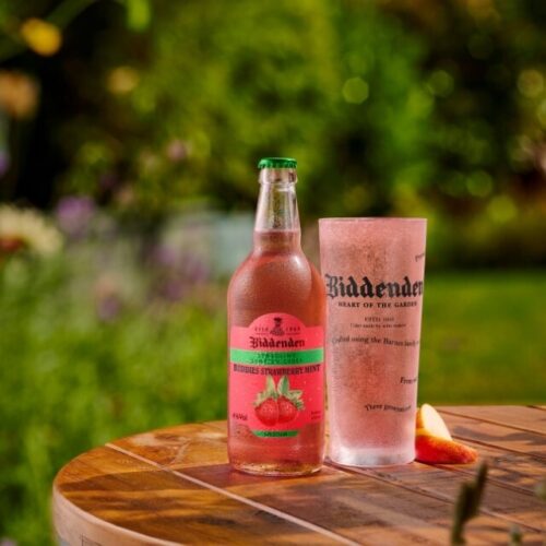 Biddies Strawberry Mint 1x1 Custom