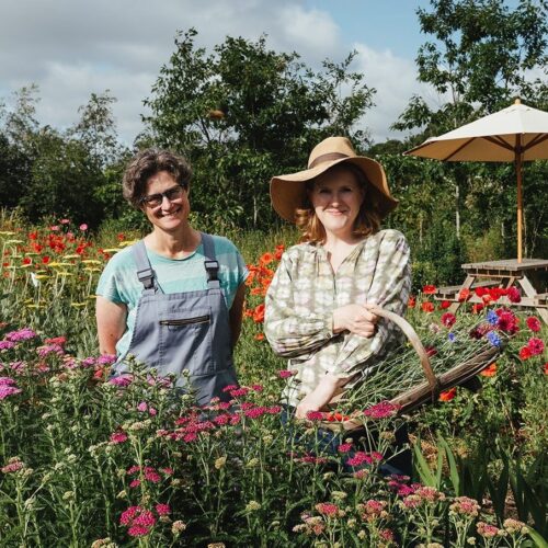 Blooming Green Growing QA e1702288624465