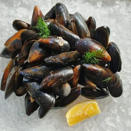 Boathouse Mussels September 24