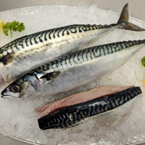 Boathouse fisheries Mackerel