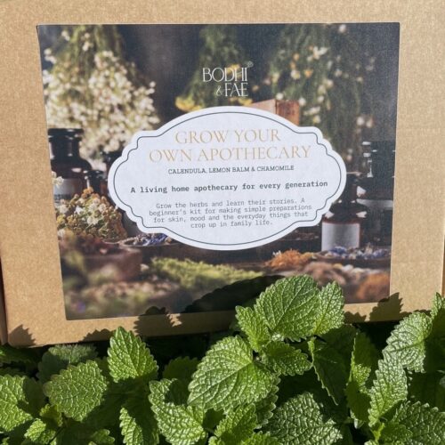Bodhi Fae Grow your own Apothecary