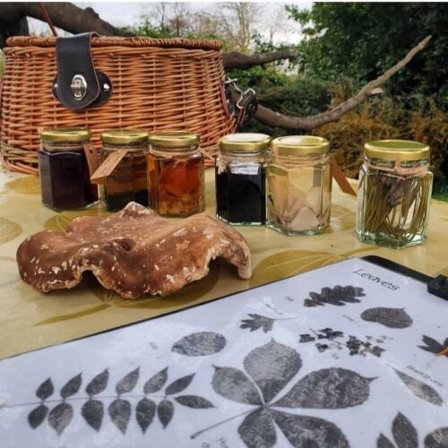 Bore Place Foraging jars mushroom ID sheet Gemma Hindi