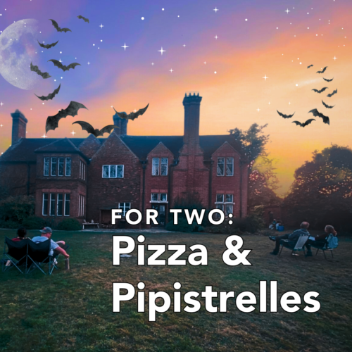 Bore Place Pizza and Pipistrelles web