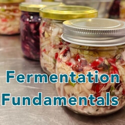 Bore Place fermentation Fundamentals