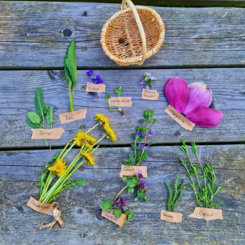 Bore Place foraging basket