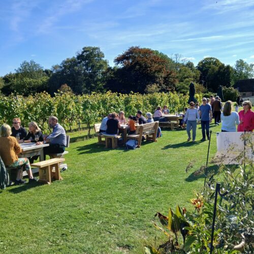 Brabourne Open Vineyard 2026 b
