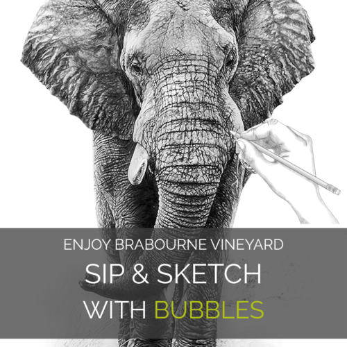 Brabourne Sip Sketch with banner