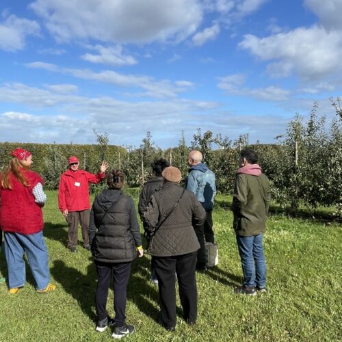 Brogdale Autumn Tour LS