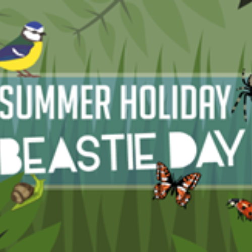 Brogdale Beastie Day