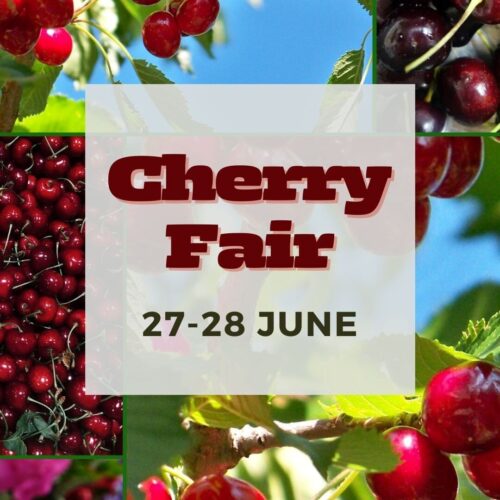 Brogdale Cherry Fair FB