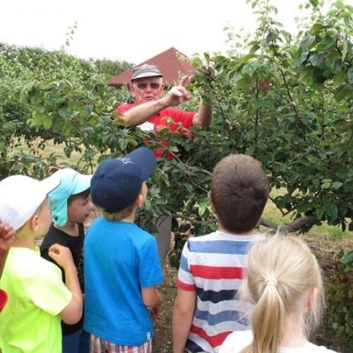 Brogdale Collections Faversham