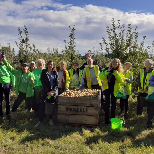 Brogdale February 2023