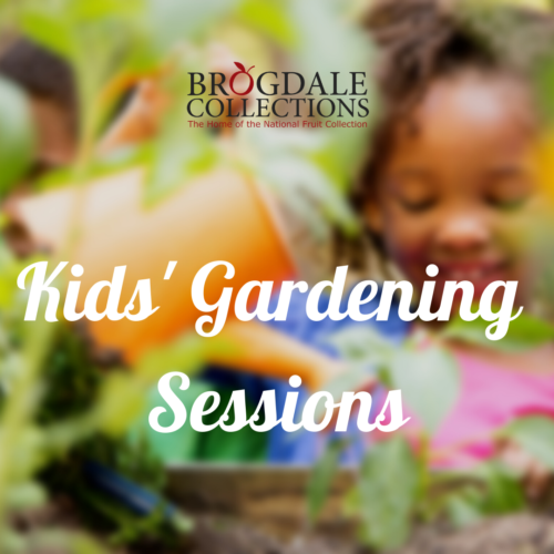 Brogdale Kids Gardening Sessions
