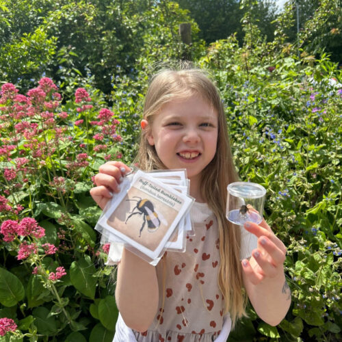 Brogdale bee safari 2024 1