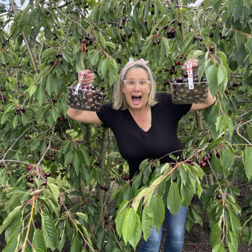 Brogdale happy lady with cherry punnets