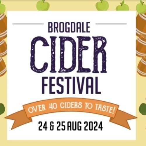 Brogdale Cider festival 2024