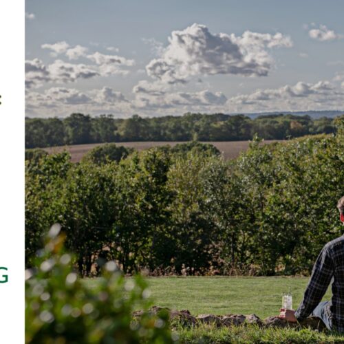 Carbon Neutrality Eventbrite header