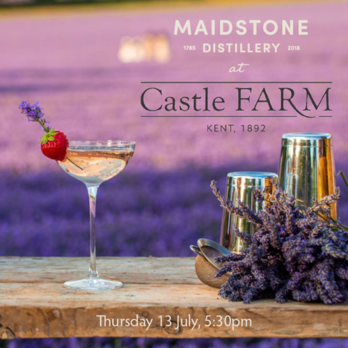 Castle Farm Gin Tasting