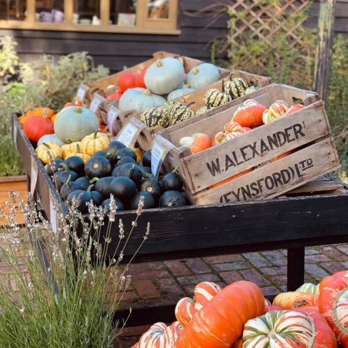 Castle Farm Pumpkins