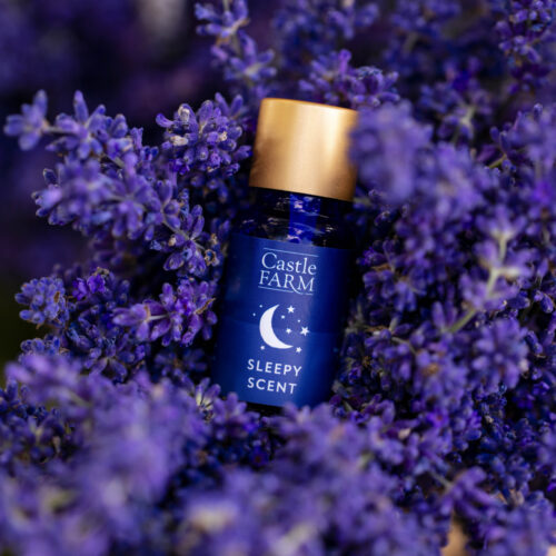 Castle Farm Sleepy Scent in Lavender