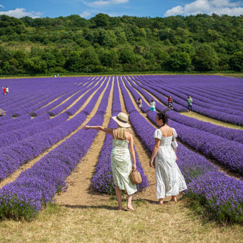 Castle Farm 070 4641