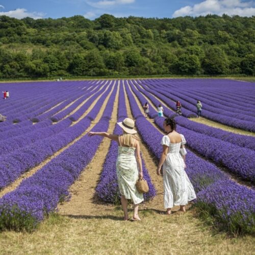 Castle Farm 172 4641 Custom