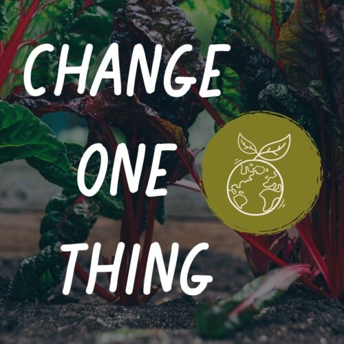 Change one thing square