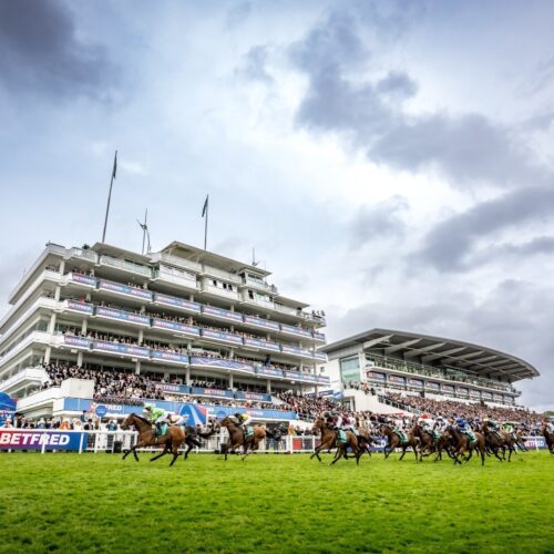 Chapel Down Epsom Derby 2025 Saturday 22 Large