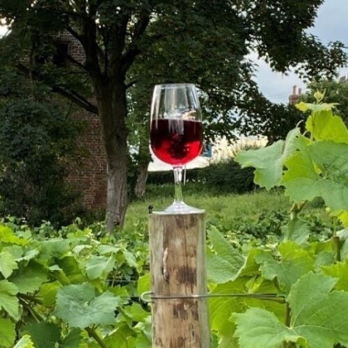 Chartham 2018 Pinot Noir