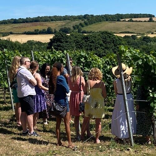 Chartham Vineyard tours 0724