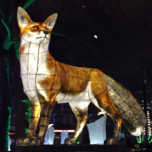 Christmas In Tenterden2