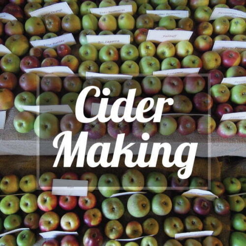 Cider making 207 21x207 21