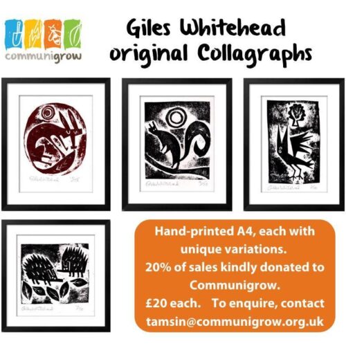 Communigrow Giles W prints