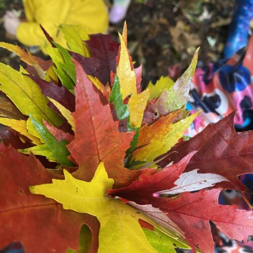 Communigrow Nature Tots