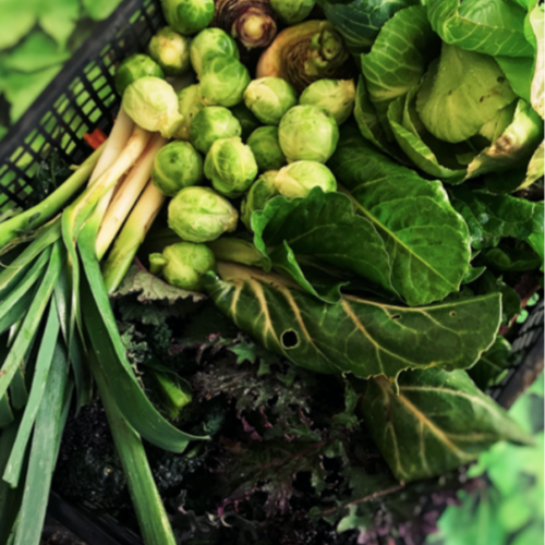 Communigrow Veg Box by Charlie P Ope