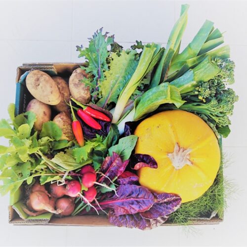 Communigrow Veg Box