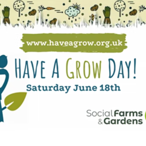 Communigrow have a grow day