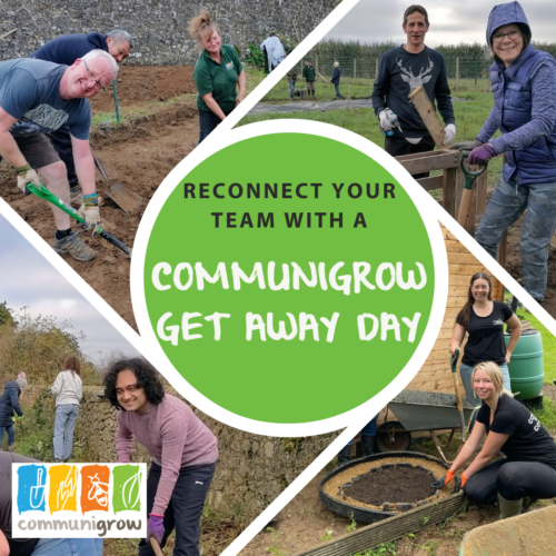 Communigrow Corporate away day 1