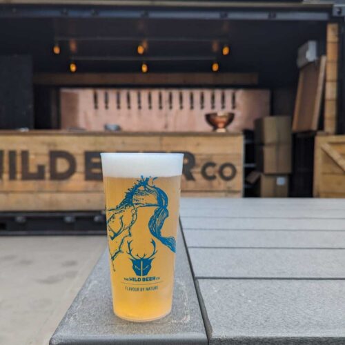 Curious brewery wild beer outside