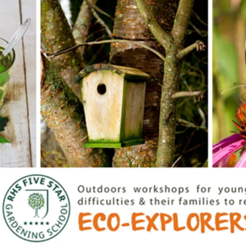 Eco Explorers Workshop 1