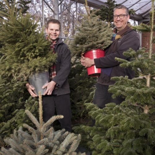 Edible Culture Xmas b18