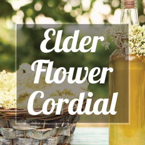 Elderlfower Cordial