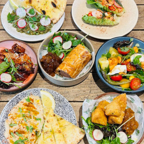 Elite wildshark offer