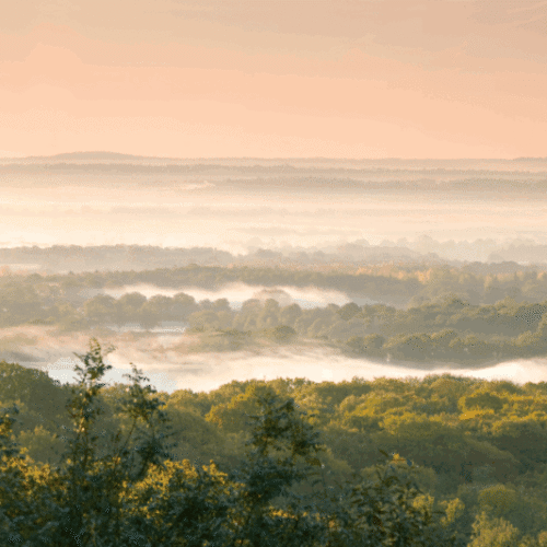 Explore Kent Banner Image