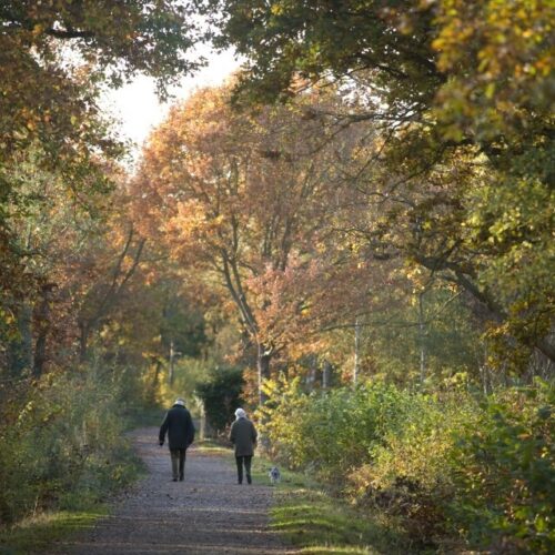 Explore Kent walkers in Autumnal Garden Custom