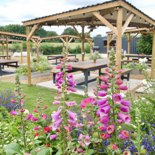 F Rasers Egerton flowers in the garden