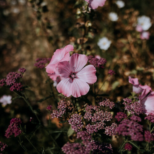 Ferry House Hand Tied Bouquet Workshop