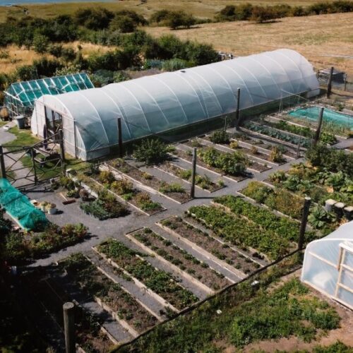 Ferry House Kitchen Garden Open Days Custom