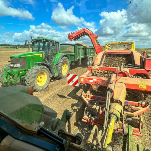 Flavours Newsletter The Potato Shop